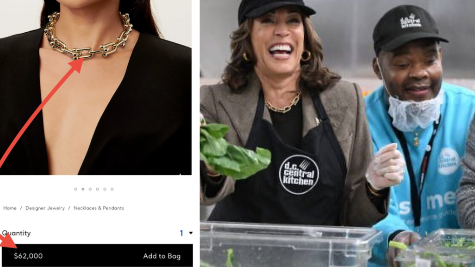 Kamala Harris spotted serving food