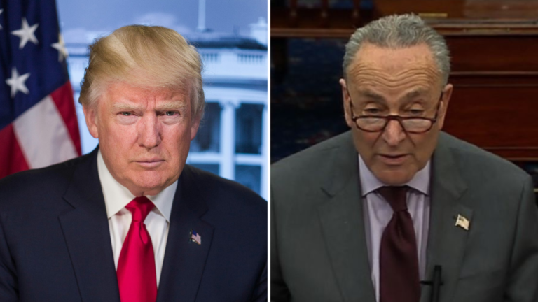 Chuck Schumer says Dems will 'work' with GOP