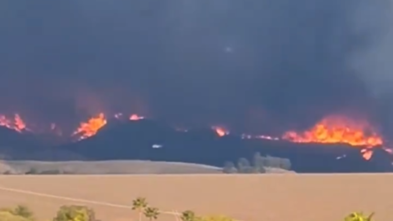 New fire erupts in LA