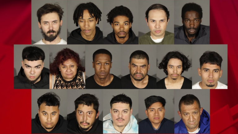 LA mugshots looters burglars