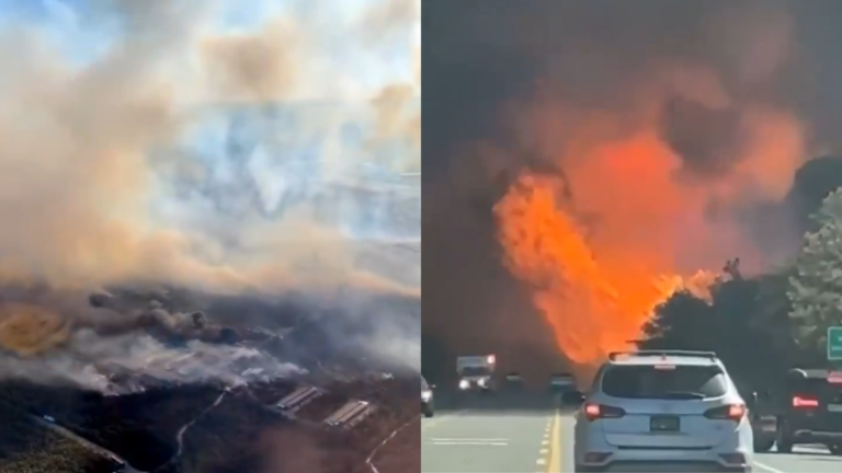 Brush fires erupt on Long Island