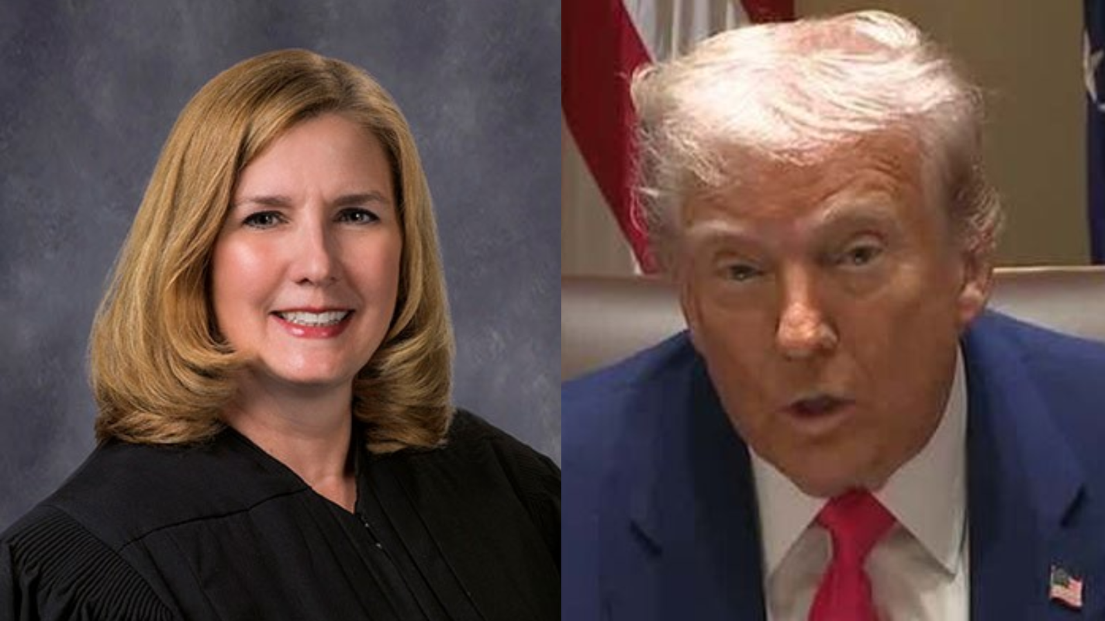 Trump Alien Enemies Act deportation