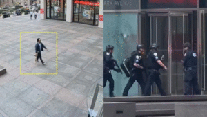 Gunman dead in Manhattan skyscraper