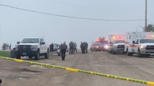 Mexican navy plane crashed