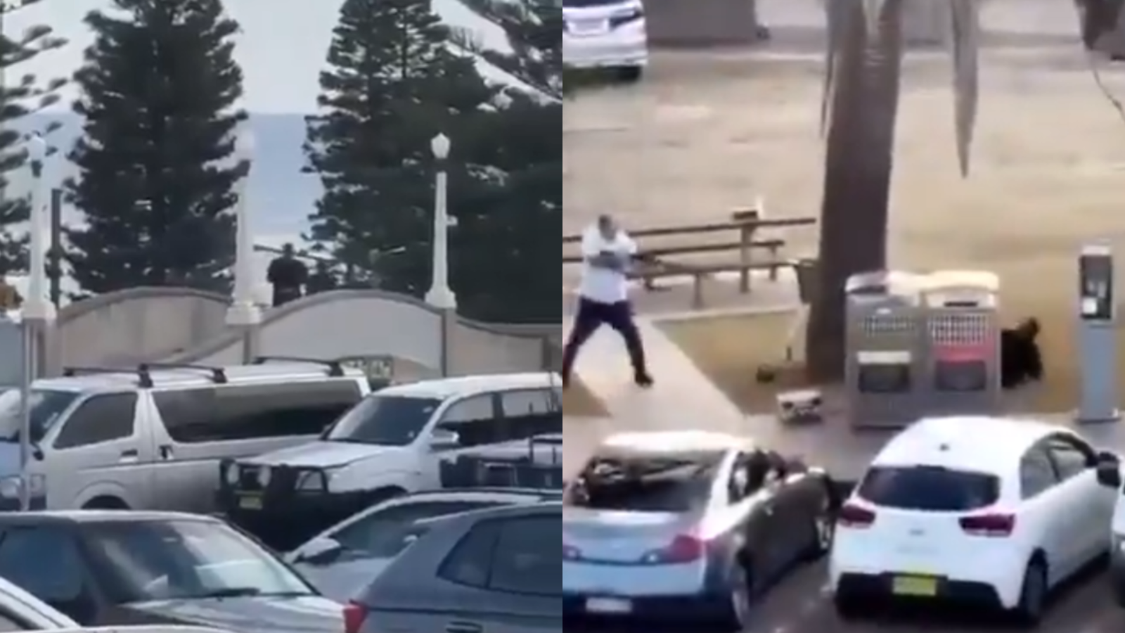 Mass shooting at Bondi Beach leaves 15 dead and dozens injured