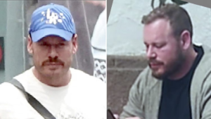 Ryan Wedding snowboarder arrested